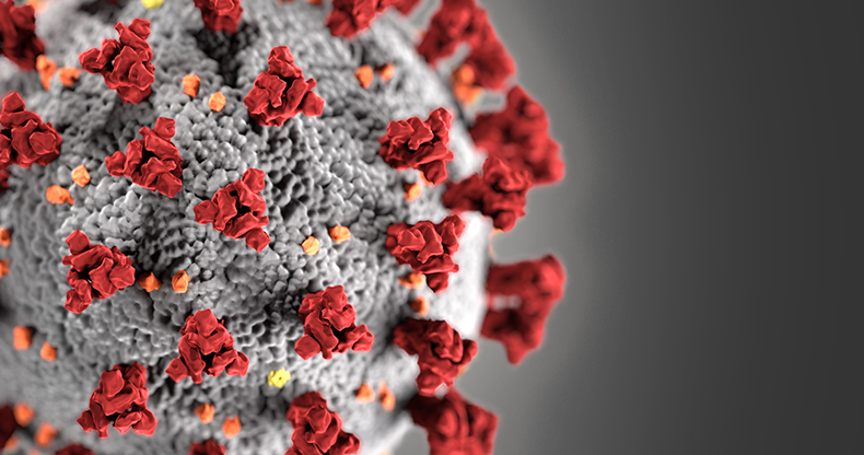 covid-19 virus image